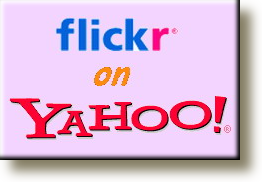 Yahoo & Flickr